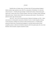 Raudonės pilis 2 puslapis