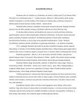 Raudonės pilis 3 puslapis