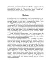 Raudonės pilis-dvaras 8 puslapis