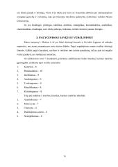 Savianalizė. Savarankiškas rašto darbas 15 puslapis