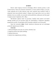 Savianalizė. Savarankiškas rašto darbas 2 puslapis