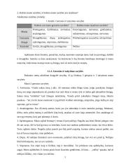 Savianalizė. Savarankiškas rašto darbas 4 puslapis