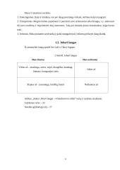 Savianalizė. Savarankiškas rašto darbas 5 puslapis