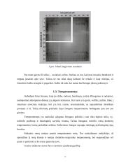 Savianalizė. Savarankiškas rašto darbas 6 puslapis