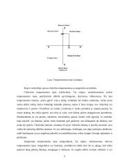 Savianalizė. Savarankiškas rašto darbas 7 puslapis