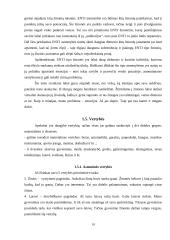 Savianalizė. Savarankiškas rašto darbas 9 puslapis