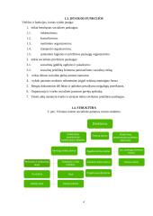 Socialinių paslaugų ir kitos socialinės paramos teikimas  3 puslapis