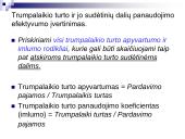 Turto analizė 11 puslapis