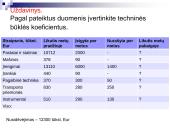 Turto analizė 5 puslapis