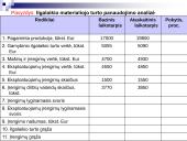 Turto analizė 7 puslapis