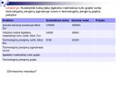 Turto analizė 8 puslapis