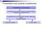 Turto analizė 9 puslapis