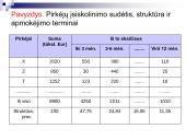 Turto analizė 10 puslapis