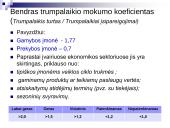 Mokumo analizė 11 puslapis