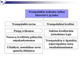 Mokumo analizė 8 puslapis