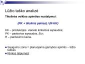 Išlaidų, kainų, pelno analizė 13 puslapis