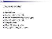 Išlaidų, kainų, pelno analizė 16 puslapis