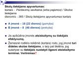 Veiklos efektyvumo rodikliai ir jų analizė 13 puslapis