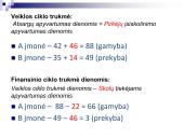 Veiklos efektyvumo rodikliai ir jų analizė 14 puslapis
