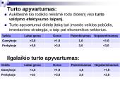 Veiklos efektyvumo rodikliai ir jų analizė 19 puslapis