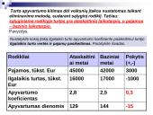 Veiklos efektyvumo rodikliai ir jų analizė 20 puslapis