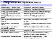 Veiklos efektyvumo rodikliai ir jų analizė 9 puslapis