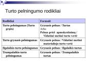 Turto ir kapitalo pelningumo analizė 2 puslapis