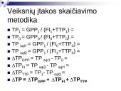 Turto ir kapitalo pelningumo analizė 11 puslapis