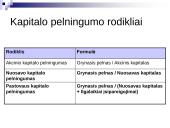 Turto ir kapitalo pelningumo analizė 14 puslapis