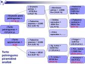 Turto ir kapitalo pelningumo analizė 6 puslapis