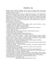 Reabilitacija ir normalizacija Lietuvoje ir pasaulyje. Alkoholizmas 3 puslapis