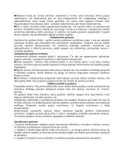 Reabilitacija ir normalizacija Lietuvoje ir pasaulyje. Alkoholizmas 8 puslapis