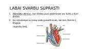 Kraujas ir kraujotakos ratai 13 puslapis