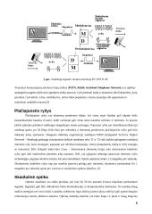 Realaus laiko sistemų taikymas komunikacijų sistemose 8 puslapis