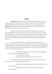 Realaus laiko sistemų taikymas procesų bei gamybos valdymui 3 puslapis