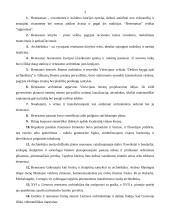 Renesansas: pastatų proporcijos atitinka žmonių proporcijas ir poreikius 3 puslapis
