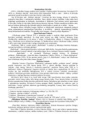 Renesanso asmenybės. Renesanso epocha Lietuvoje 13 puslapis