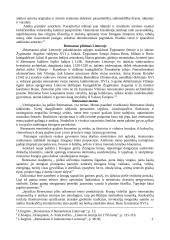 Renesanso asmenybės. Renesanso epocha Lietuvoje 5 puslapis