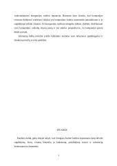 Retorikos ir kalbos estetikos svarba, vaidmuo kuriant asmeninį ir profesinį įvaizdį 14 puslapis