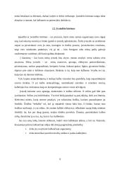 Retorikos ir kalbos estetikos svarba, vaidmuo kuriant asmeninį ir profesinį įvaizdį 8 puslapis