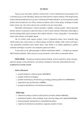 Gyvenamojo namo projektavimas 2 puslapis