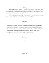 Gyvenamojo namo projektavimas 5 puslapis