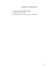 Rusijos karai 11 puslapis