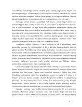 Rusijos karai 3 puslapis