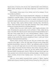 Rusijos karai 7 puslapis