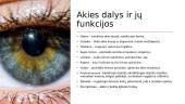 Akis – regos organas 5 puslapis