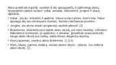 Akis – regos organas 7 puslapis