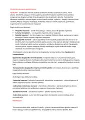 Apie nervinius audinius 2 puslapis