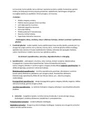 Apie nervinius audinius 3 puslapis