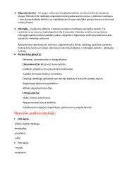 Apie nervinius audinius 4 puslapis